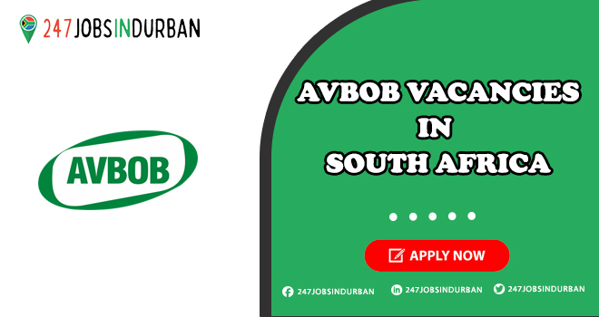 AVBOB Vacancies