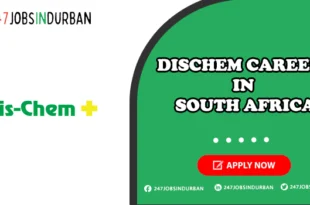 Dischem Careers