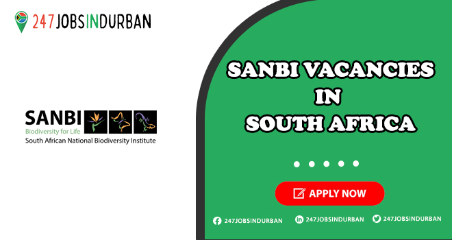 Sanbi Vacancies