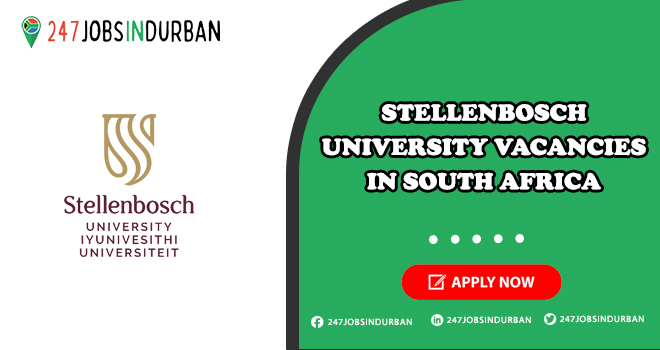 Stellenbosch University Vacancies