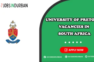 Petra Diamond Vacancies