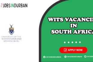 Wits Vacancies
