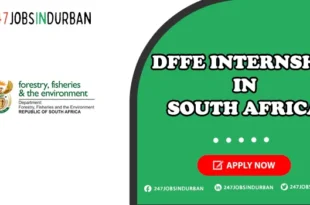 DFFE Internships