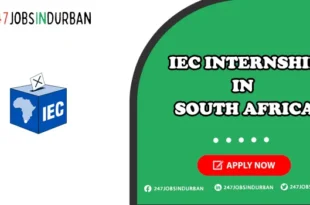 Iec Internships