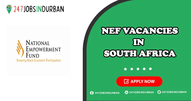 Nef Vacancies