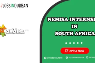 Nemisa Internships